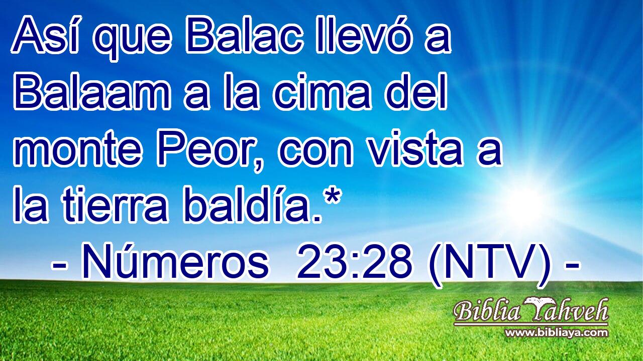 Así que Balac llevó a Balaam a la cima del monte Peor, con vista a la tierra baldía.*