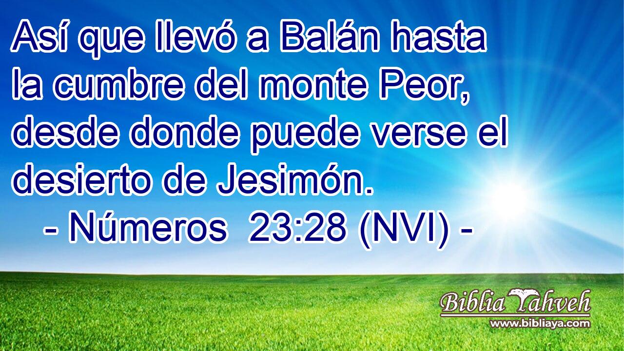 Así que llevó a Balán hasta la cumbre del monte Peor, desde donde puede verse el desierto de Jesimón. 