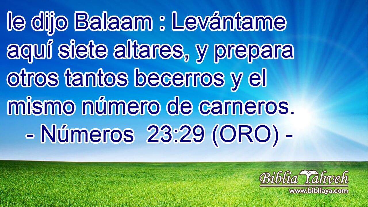  le dijo Balaam : Levántame aquí siete altares, y prepara otros tantos becerros y el mismo número de carneros. 