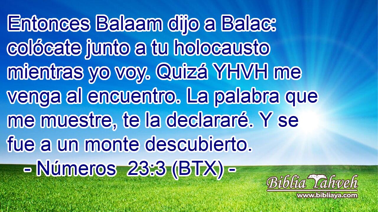 Entonces Balaam dijo a Balac: colócate junto a tu holocausto mientras yo voy. Quizá YHVH me venga al encuentro. La palabra que me muestre, te la declararé. Y se fue a un monte descubierto.