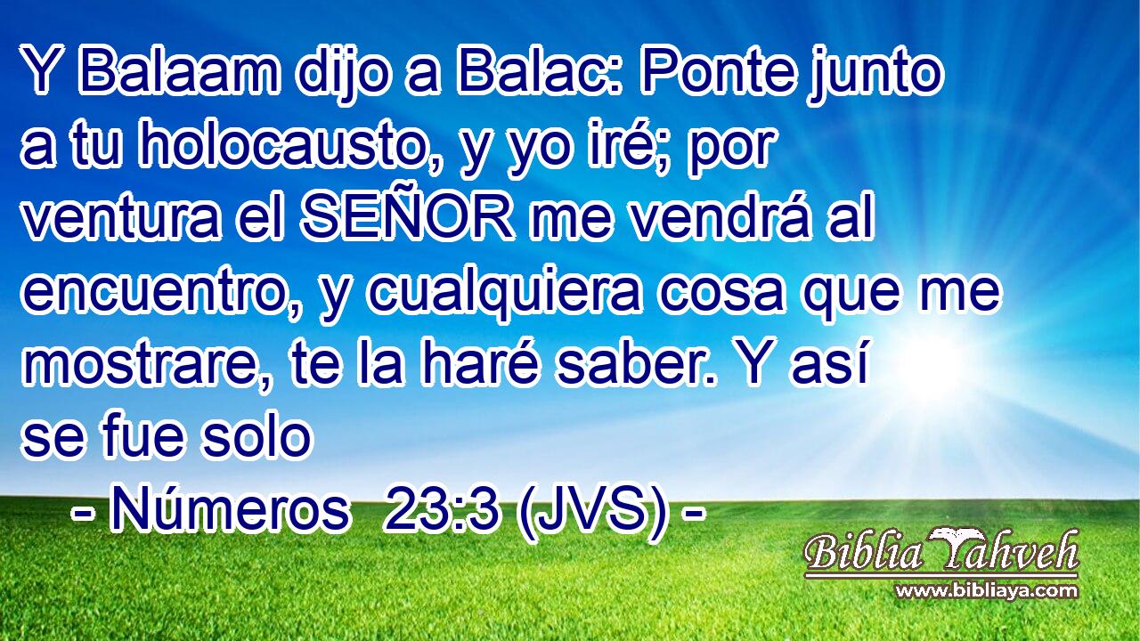 Y Balaam dijo a Balac: Ponte junto a tu holocausto, y yo iré; por ventura el SEÑOR me vendrá al encuentro, y cualquiera cosa que me mostrare, te la haré saber. Y así se fue solo