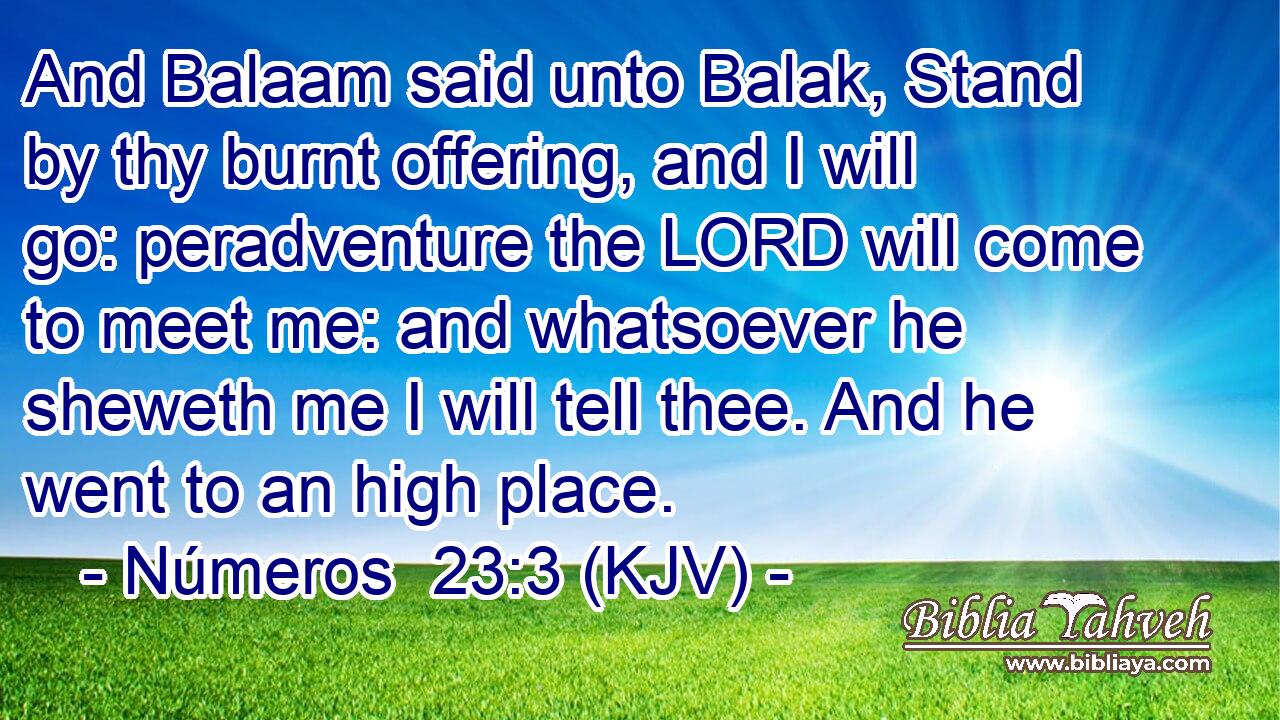 And Balaam said unto Balak, Stand by thy burnt offering, and I will go: peradventure the LORD will come to meet me: and whatsoever he sheweth me I will tell thee. And he went to an high place.