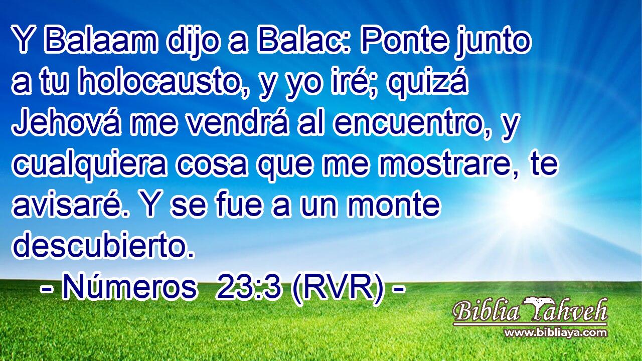 Y Balaam dijo a Balac: Ponte junto a tu holocausto, y yo iré; quizá Jehová me vendrá al encuentro, y cualquiera cosa que me mostrare, te avisaré. Y se fue a un monte descubierto.
