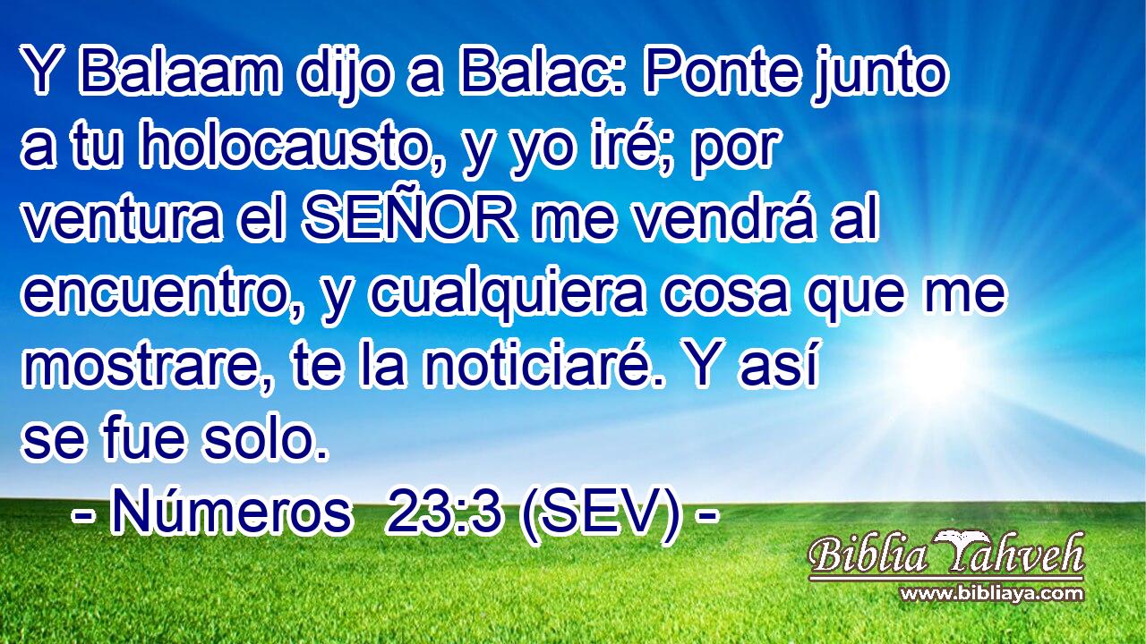 Y Balaam dijo a Balac: Ponte junto a tu holocausto, y yo iré; por ventura el SEÑOR me vendrá al encuentro, y cualquiera cosa que me mostrare, te la noticiaré. Y así se fue solo.