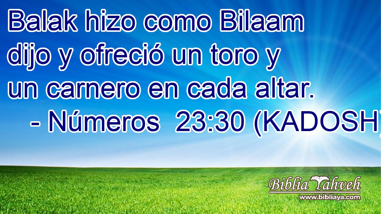  Balak hizo como Bilaam dijo y ofreció un toro y un carnero en cada altar. 