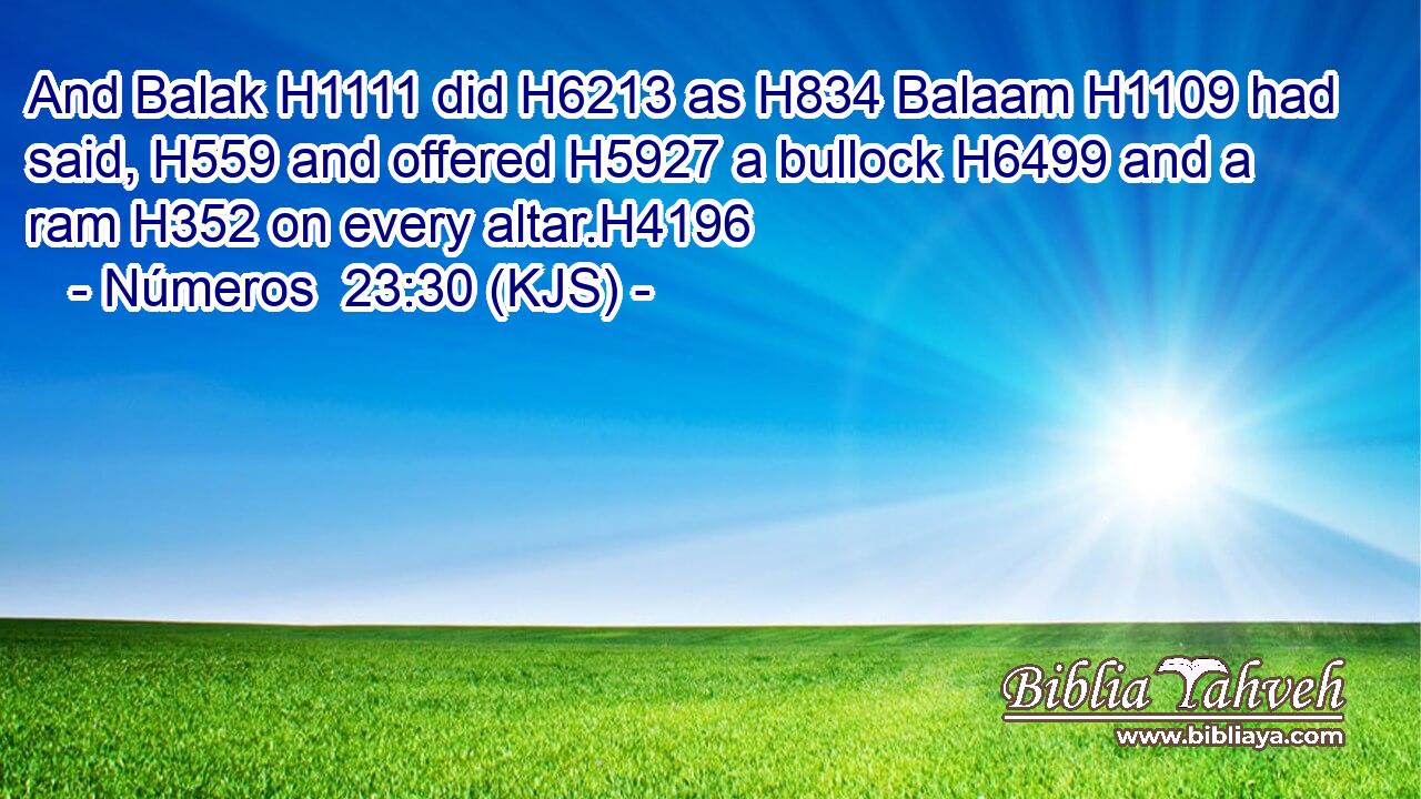 And Balak H1111 did H6213 as H834 Balaam H1109 had said, H559 and offered H5927 a bullock H6499 and a ram H352 on every altar.H4196