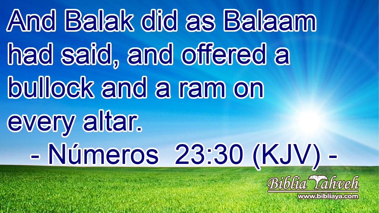 And Balak did as Balaam had said, and offered a bullock and a ram on every altar.