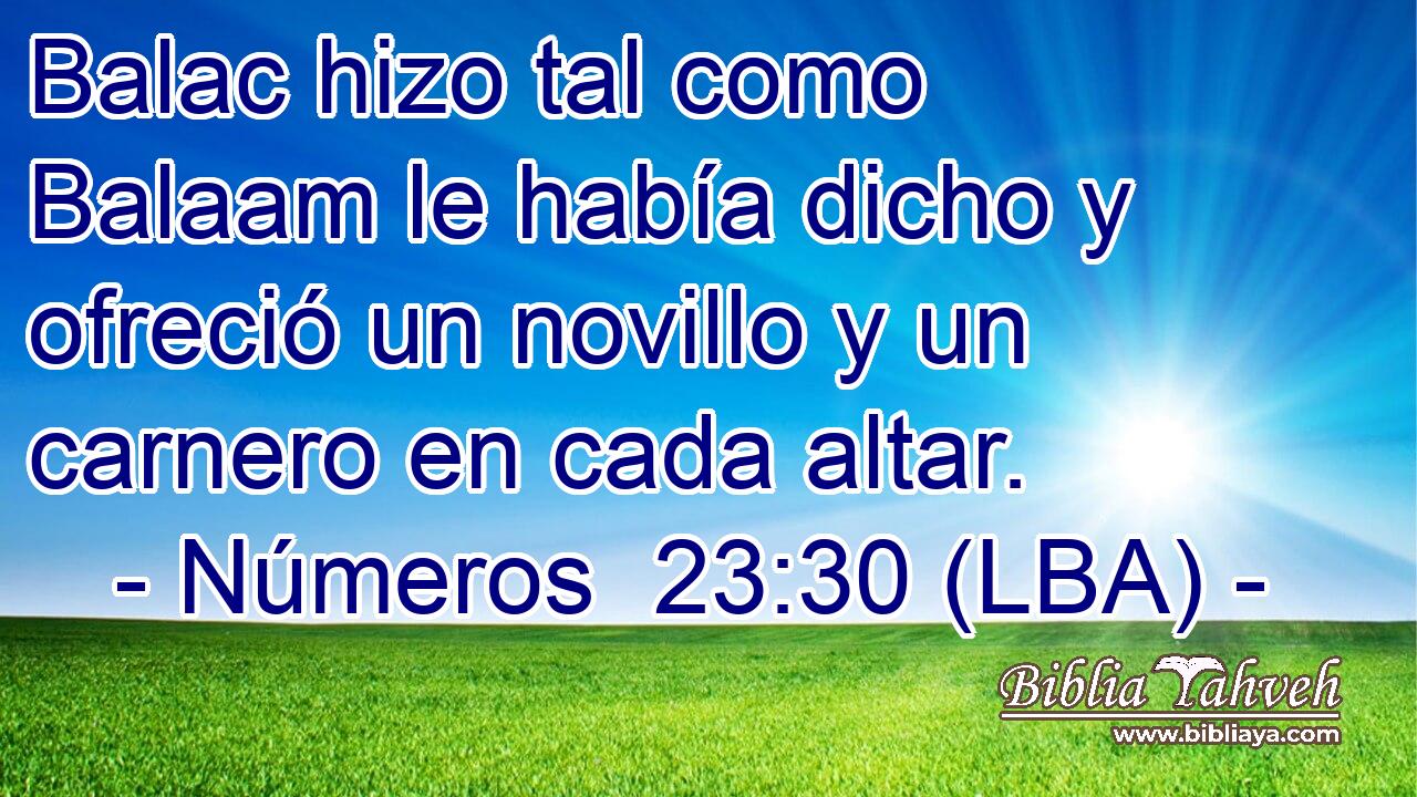 Balac hizo tal como Balaam le había dicho y ofreció un novillo y un carnero en cada altar.