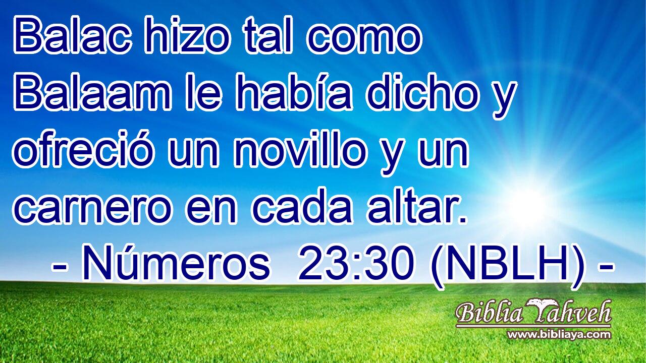  Balac hizo tal como Balaam le había dicho y ofreció un novillo y un carnero en cada altar. 