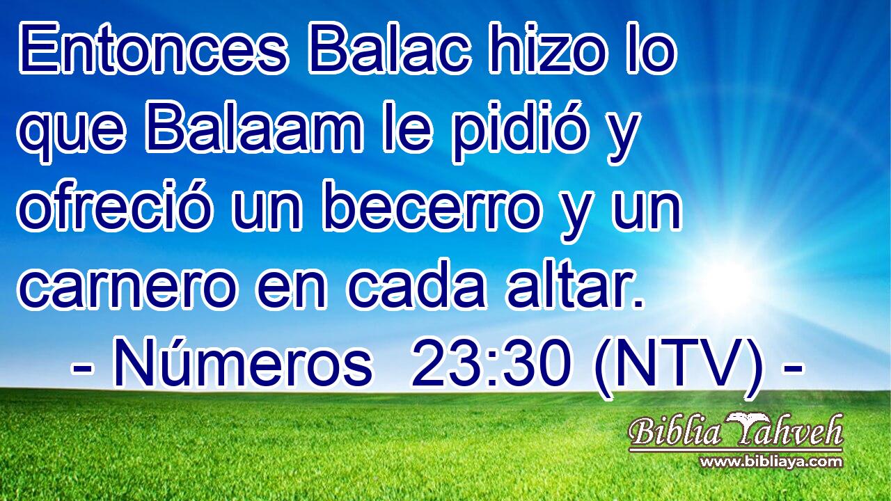Entonces Balac hizo lo que Balaam le pidió y ofreció un becerro y un carnero en cada altar.