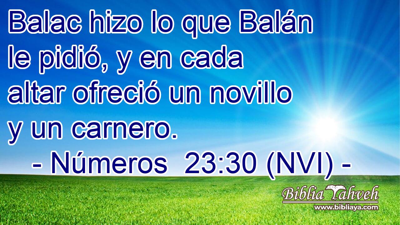  Balac hizo lo que Balán le pidió, y en cada altar ofreció un novillo y un carnero. 