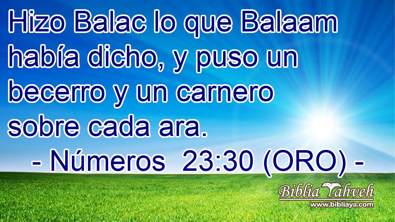  Hizo Balac lo que Balaam había dicho, y puso un becerro y un carnero sobre cada ara. 