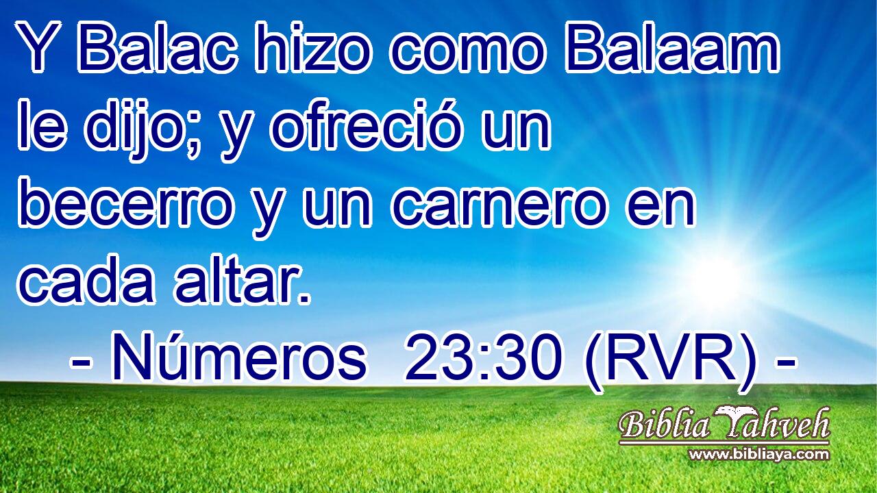 Y Balac hizo como Balaam le dijo; y ofreció un becerro y un carnero en cada altar.