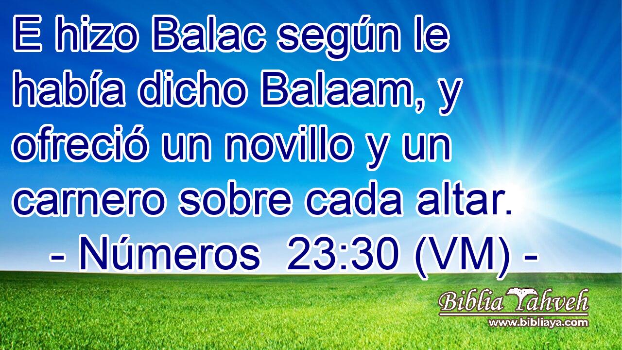  E hizo Balac según le había dicho Balaam, y ofreció un novillo y un carnero sobre cada altar. 