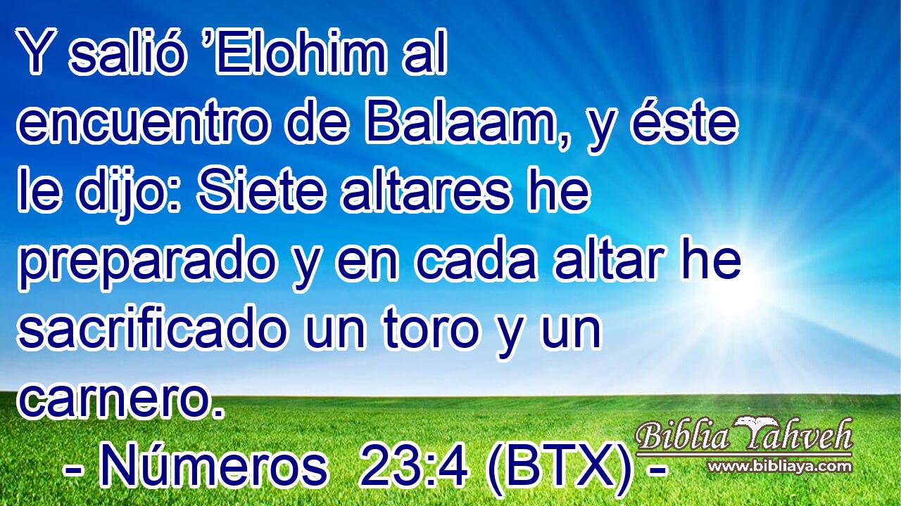 Y salió ’Elohim al encuentro de Balaam, y éste le dijo: Siete altares he preparado y en cada altar he sacrificado un toro y un carnero.