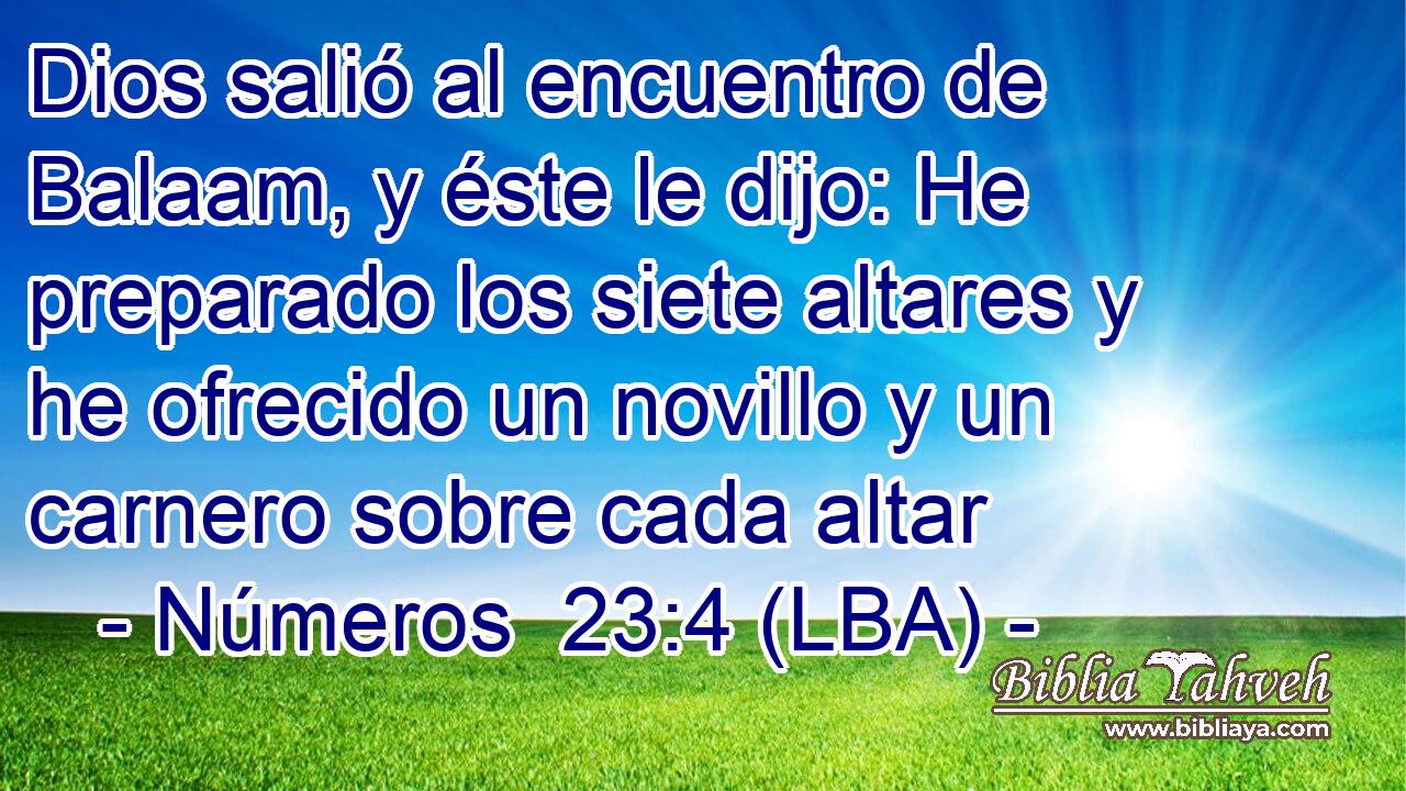 Dios salió al encuentro de Balaam, y éste le dijo: He preparado los siete altares y he ofrecido un novillo y un carnero sobre cada altar