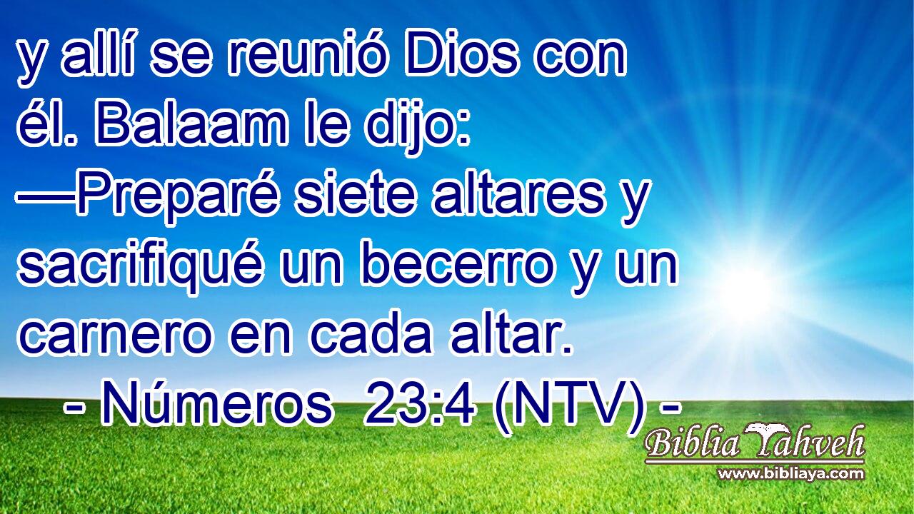 y allí se reunió Dios con él. Balaam le dijo: —Preparé siete altares y sacrifiqué un becerro y un carnero en cada altar.