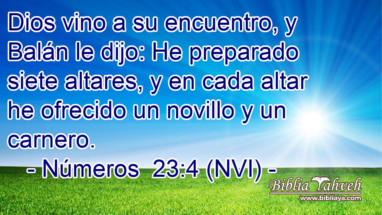  Dios vino a su encuentro, y Balán le dijo: He preparado siete altares, y en cada altar he ofrecido un novillo y un carnero. 