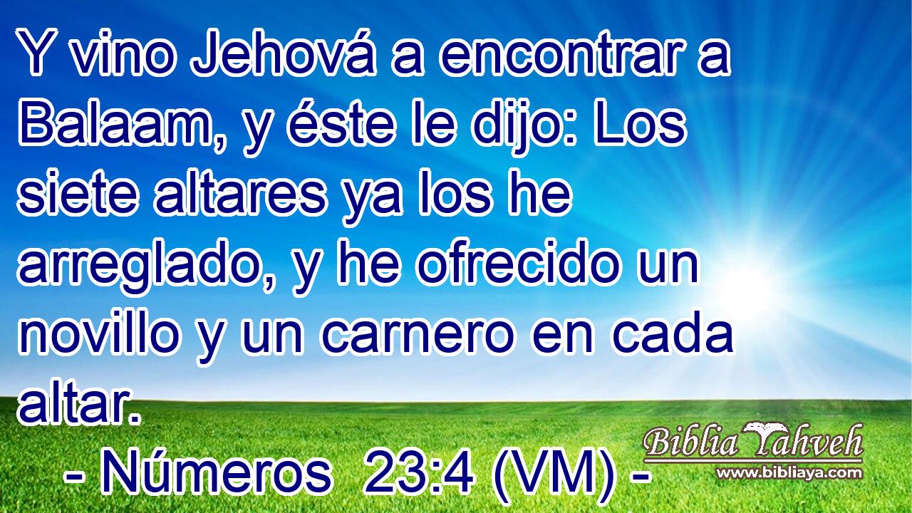  Y vino Jehová a encontrar a Balaam, y éste le dijo: Los siete altares ya los he arreglado, y he ofrecido un novillo y un carnero en cada altar. 