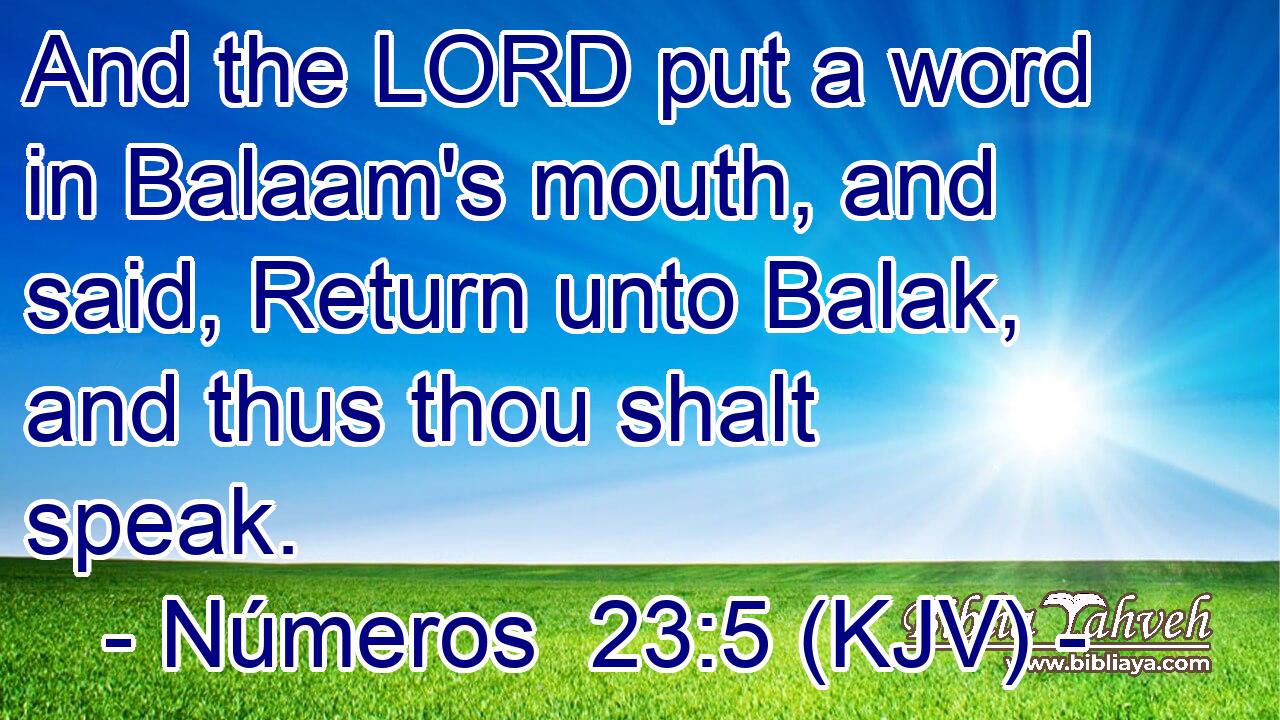 And the LORD put a word in Balaam's mouth, and said, Return unto Balak, and thus thou shalt speak.