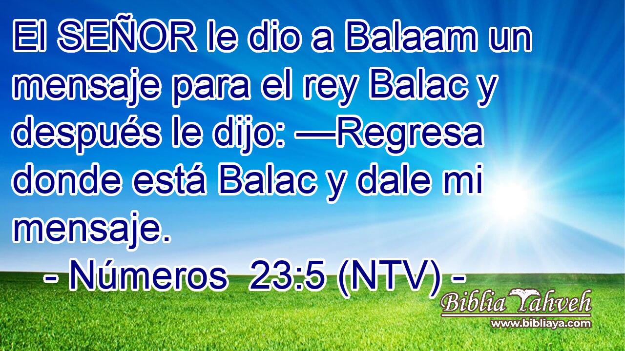El SEÑOR le dio a Balaam un mensaje para el rey Balac y después le dijo: —Regresa donde está Balac y dale mi mensaje.