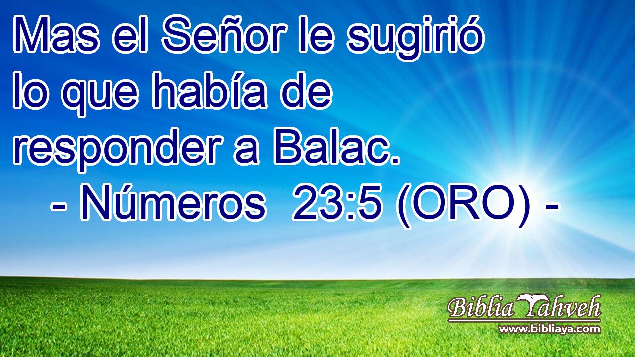  Mas el Señor le sugirió lo que había de responder a Balac. 