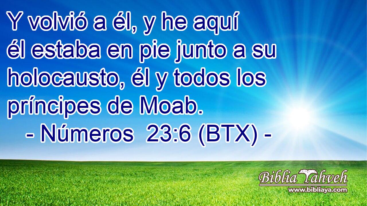 Y volvió a él, y he aquí él estaba en pie junto a su holocausto, él y todos los príncipes de Moab.