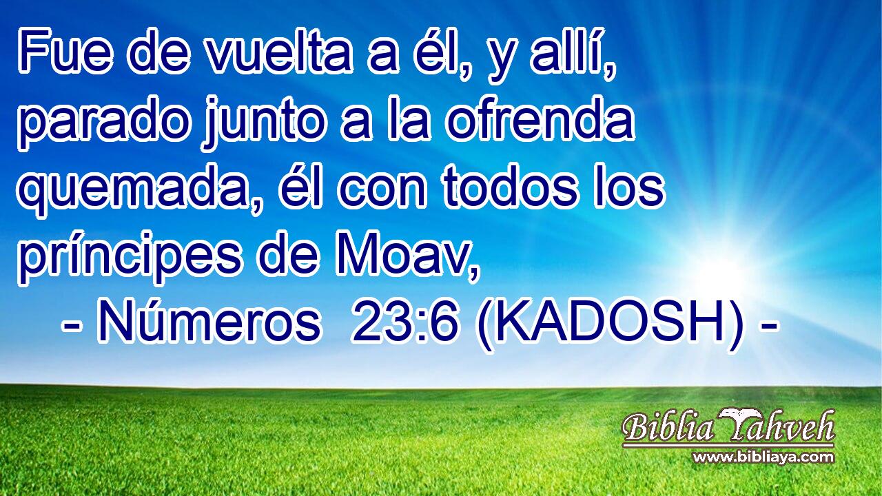  Fue de vuelta a él, y allí, parado junto a la ofrenda quemada, él con todos los príncipes de Moav, 