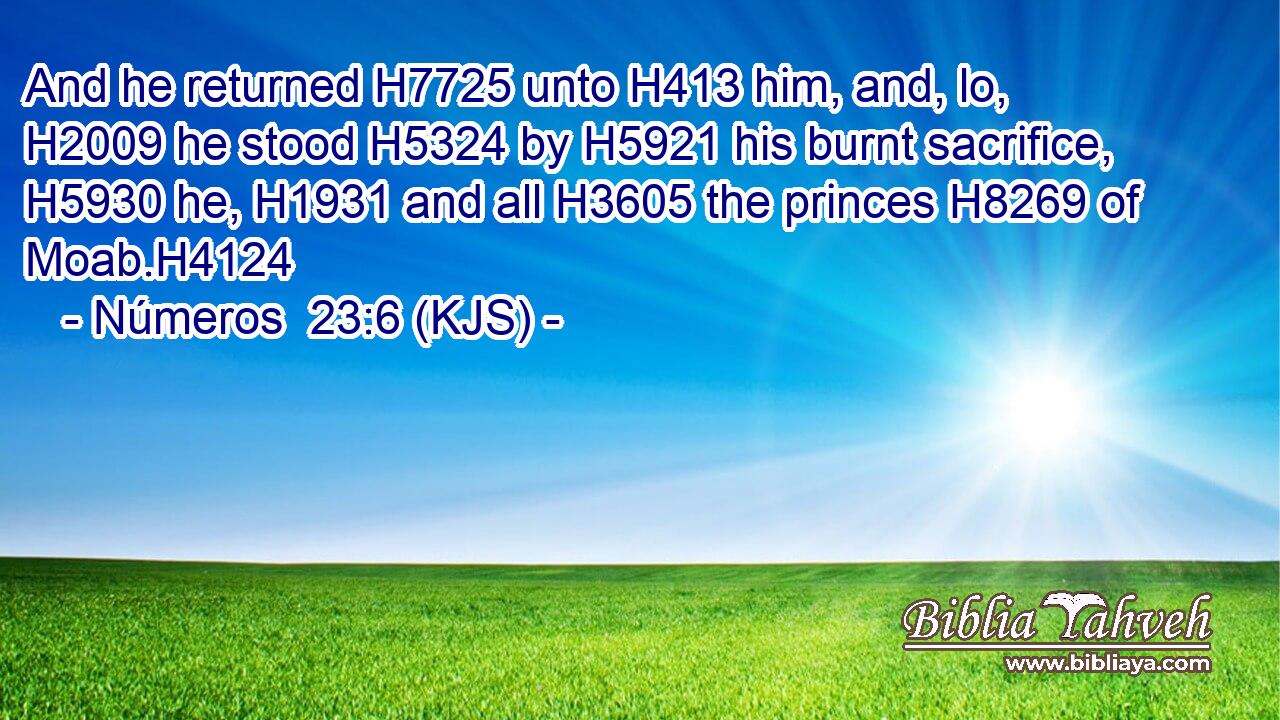 And he returned H7725 unto H413 him, and, lo, H2009 he stood H5324 by H5921 his burnt sacrifice, H5930 he, H1931 and all H3605 the princes H8269 of Moab.H4124