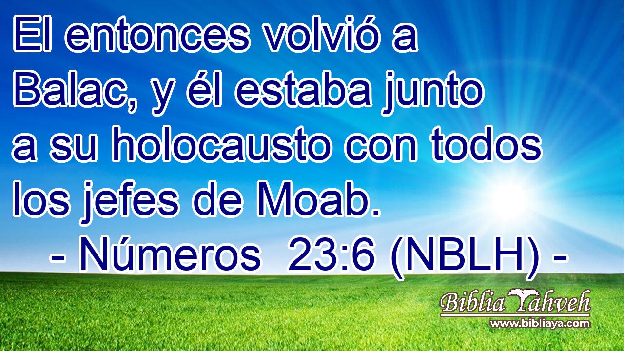 El entonces volvió a Balac, y él estaba junto a su holocausto con todos los jefes de Moab. 