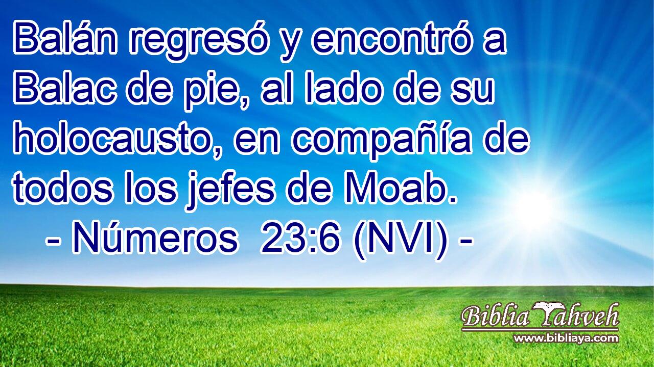  Balán regresó y encontró a Balac de pie, al lado de su holocausto, en compañía de todos los jefes de Moab. 