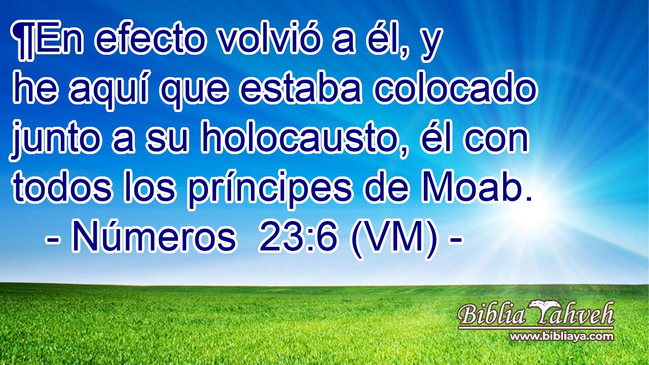  ¶En efecto volvió a él, y he aquí que estaba colocado junto a su holocausto, él con todos los príncipes de Moab. 