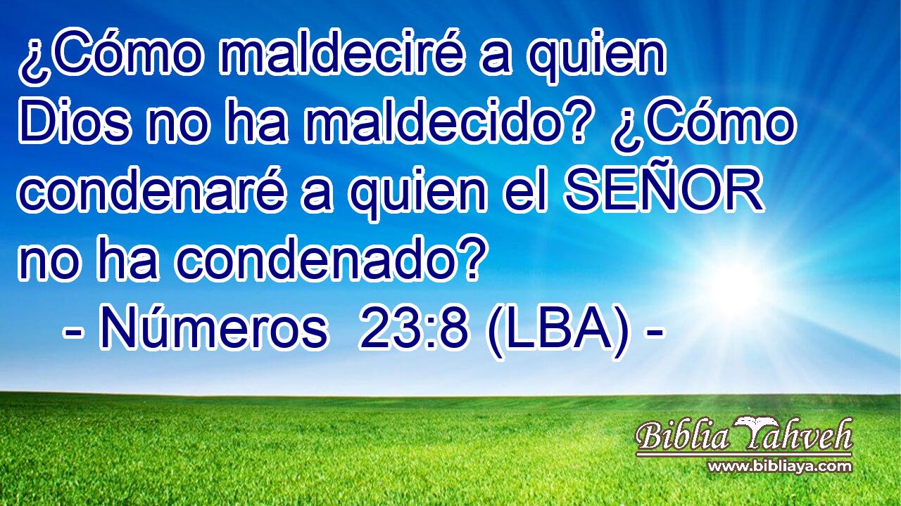 ¿Cómo maldeciré a quien Dios no ha maldecido? ¿Cómo condenaré a quien el SEÑOR no ha condenado?