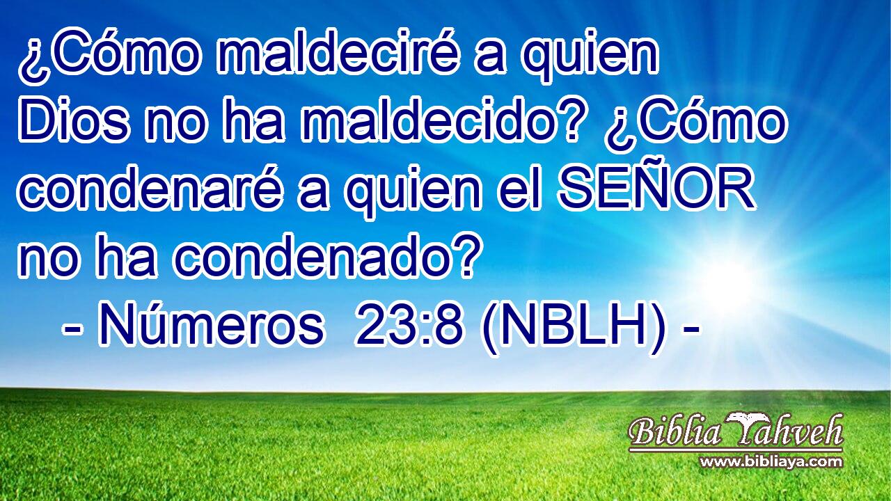  ¿Cómo maldeciré a quien Dios no ha maldecido? ¿Cómo condenaré a quien el SEÑOR no ha condenado? 