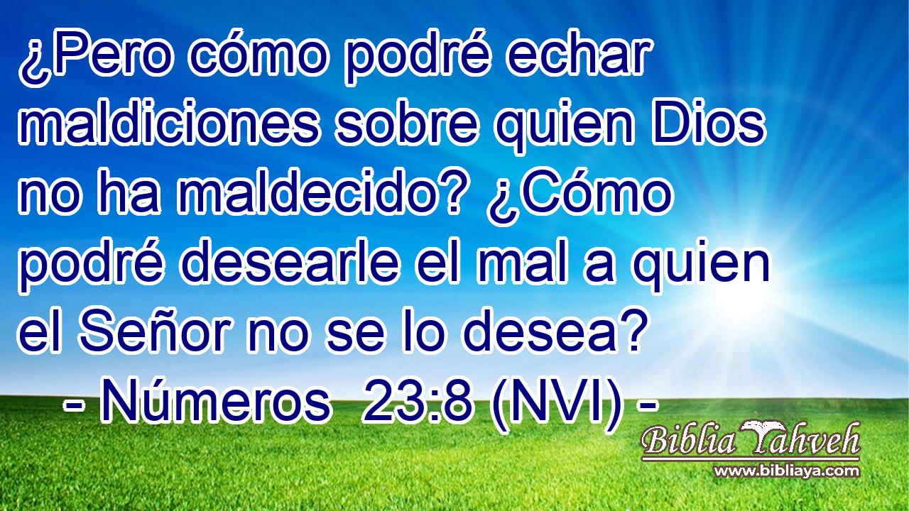 ¿Pero cómo podré echar maldiciones sobre quien Dios no ha maldecido? ¿Cómo podré desearle el mal a quien el Señor no se lo desea? 