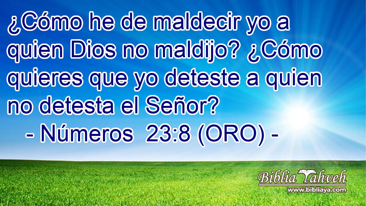  ¿Cómo he de maldecir yo a quien Dios no maldijo? ¿Cómo quieres que yo deteste a quien no detesta el Señor? 