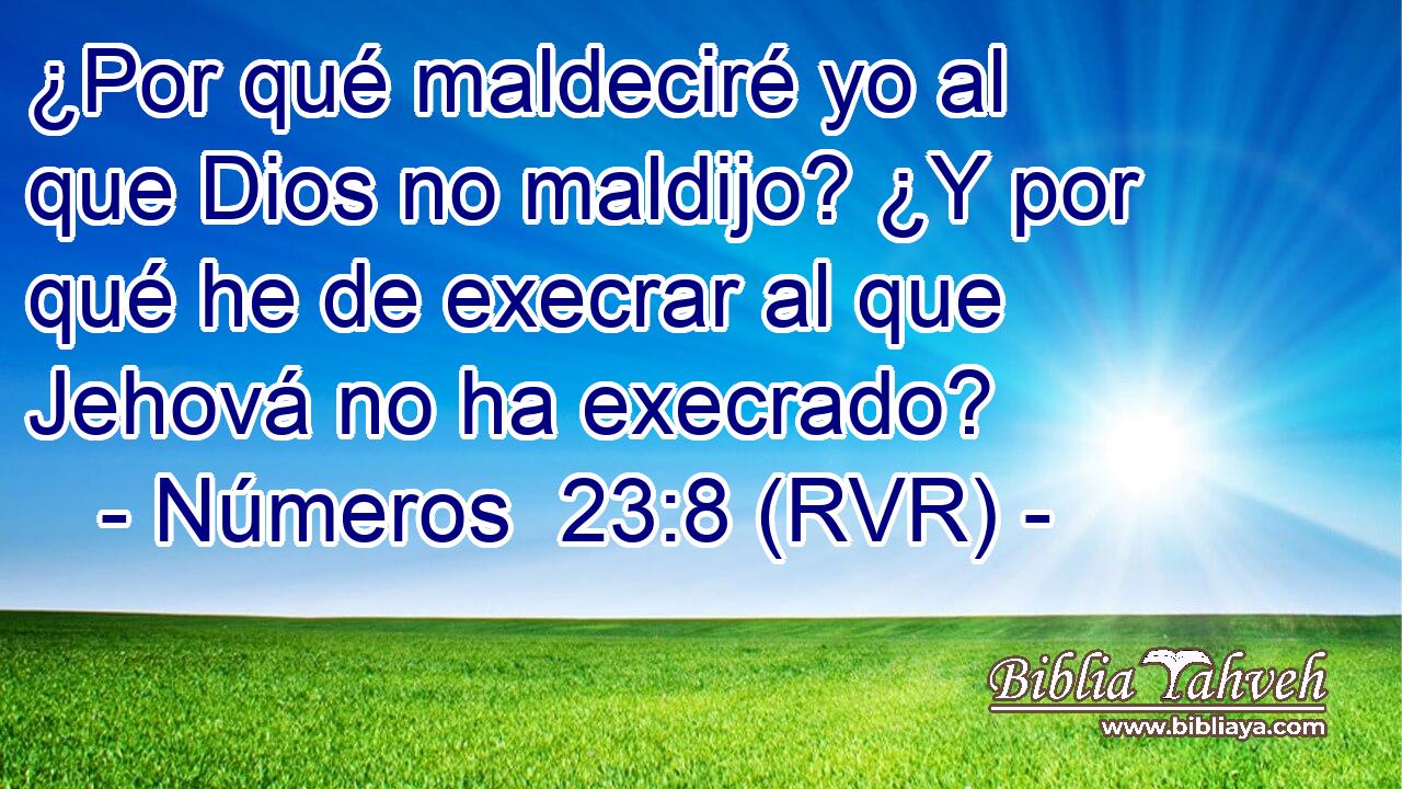 ¿Por qué maldeciré yo al que Dios no maldijo? ¿Y por qué he de execrar al que Jehová no ha execrado?