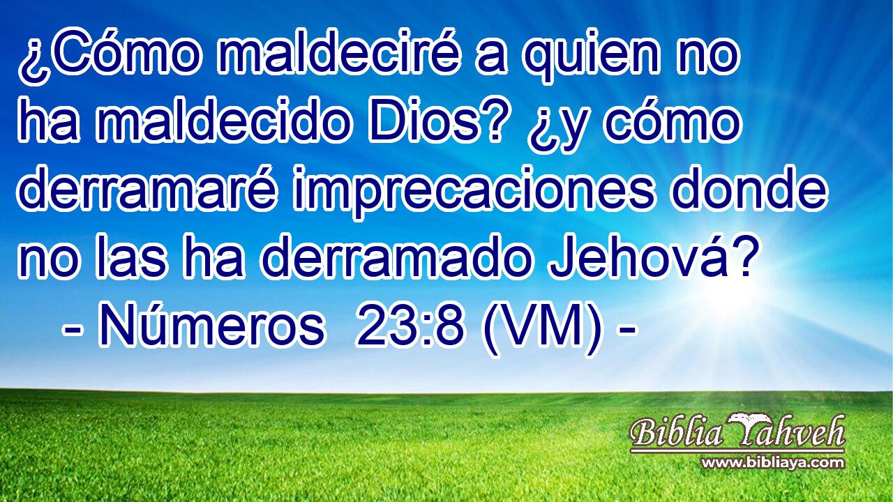  ¿Cómo maldeciré a quien no ha maldecido Dios? ¿y cómo derramaré imprecaciones donde no las ha derramado Jehová? 