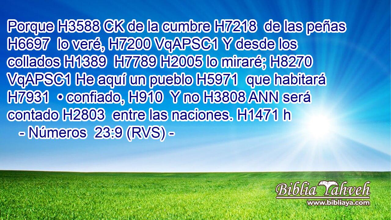 Porque H3588 CK de la cumbre H7218  de las peñas H6697  lo veré, H7200 VqAPSC1 Y desde los collados H1389  H7789 H2005 lo miraré; H8270 VqAPSC1 He aquí un pueblo H5971  que habitará H7931  • confiado, H910  Y no H3808 ANN será contado H2803  entre las naciones. H1471 h 