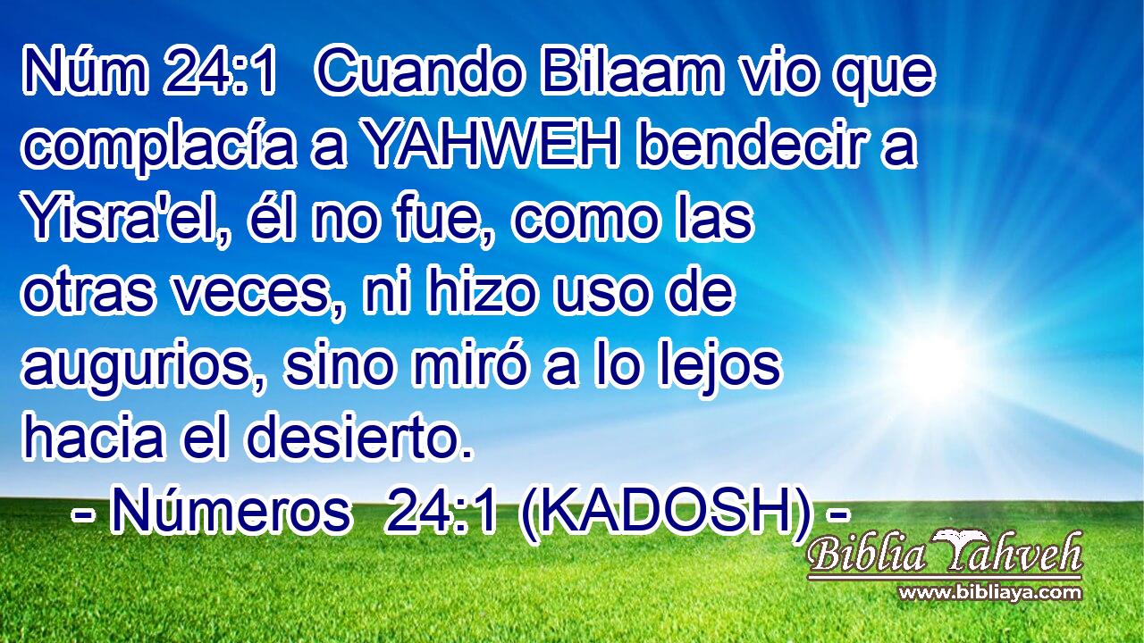  Cuando Bilaam vio que complacía a YAHWEH bendecir a Yisra'el, él no fue, como las otras veces, ni hizo uso de augurios, sino miró a lo lejos hacia el desierto. 