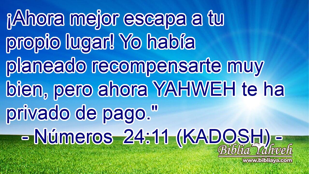  ¡Ahora mejor escapa a tu propio lugar! Yo había planeado recompensarte muy bien, pero ahora YAHWEH te ha privado de pago.