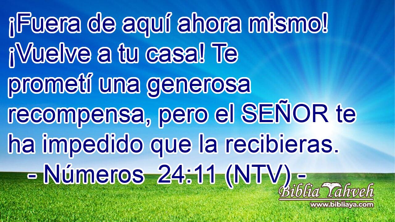 ¡Fuera de aquí ahora mismo! ¡Vuelve a tu casa! Te prometí una generosa recompensa, pero el SEÑOR te ha impedido que la recibieras.