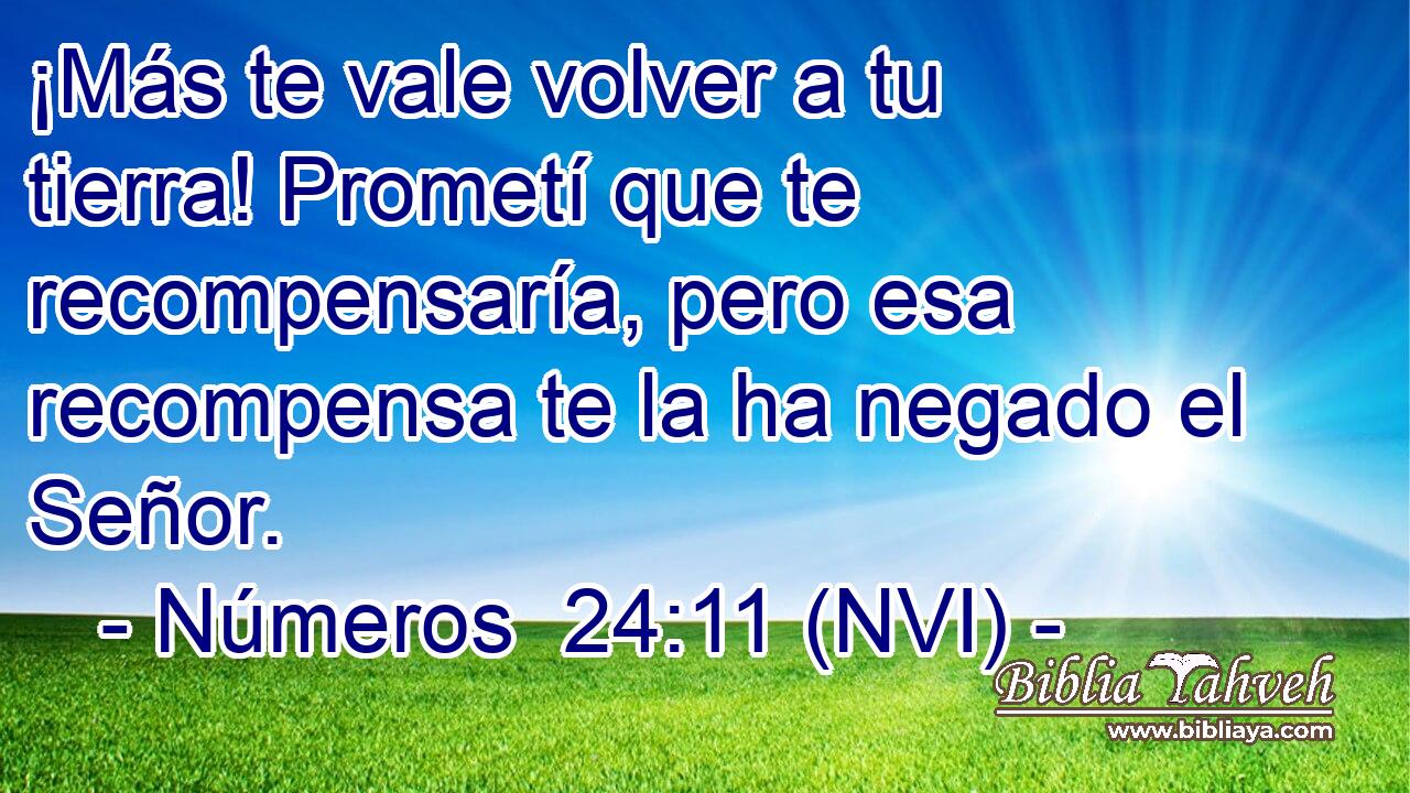  ¡Más te vale volver a tu tierra! Prometí que te recompensaría, pero esa recompensa te la ha negado el Señor. 
