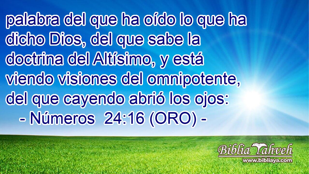  palabra del que ha oído lo que ha dicho Dios, del que sabe la doctrina del Altísimo, y está viendo visiones del omnipotente, del que cayendo abrió los ojos: 