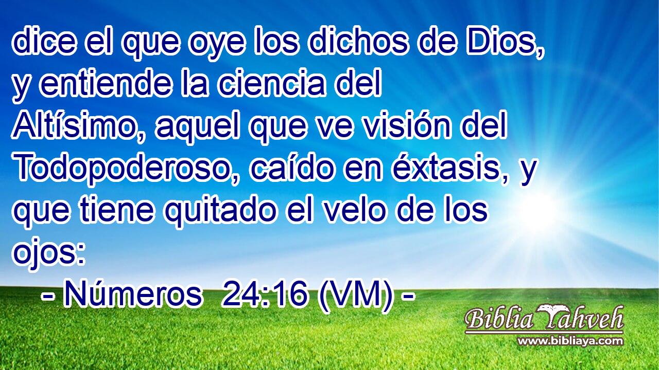  dice el que oye los dichos de Dios, y entiende la ciencia del Altísimo, aquel que ve visión del Todopoderoso, caído en éxtasis, y que tiene quitado el velo de los ojos: 