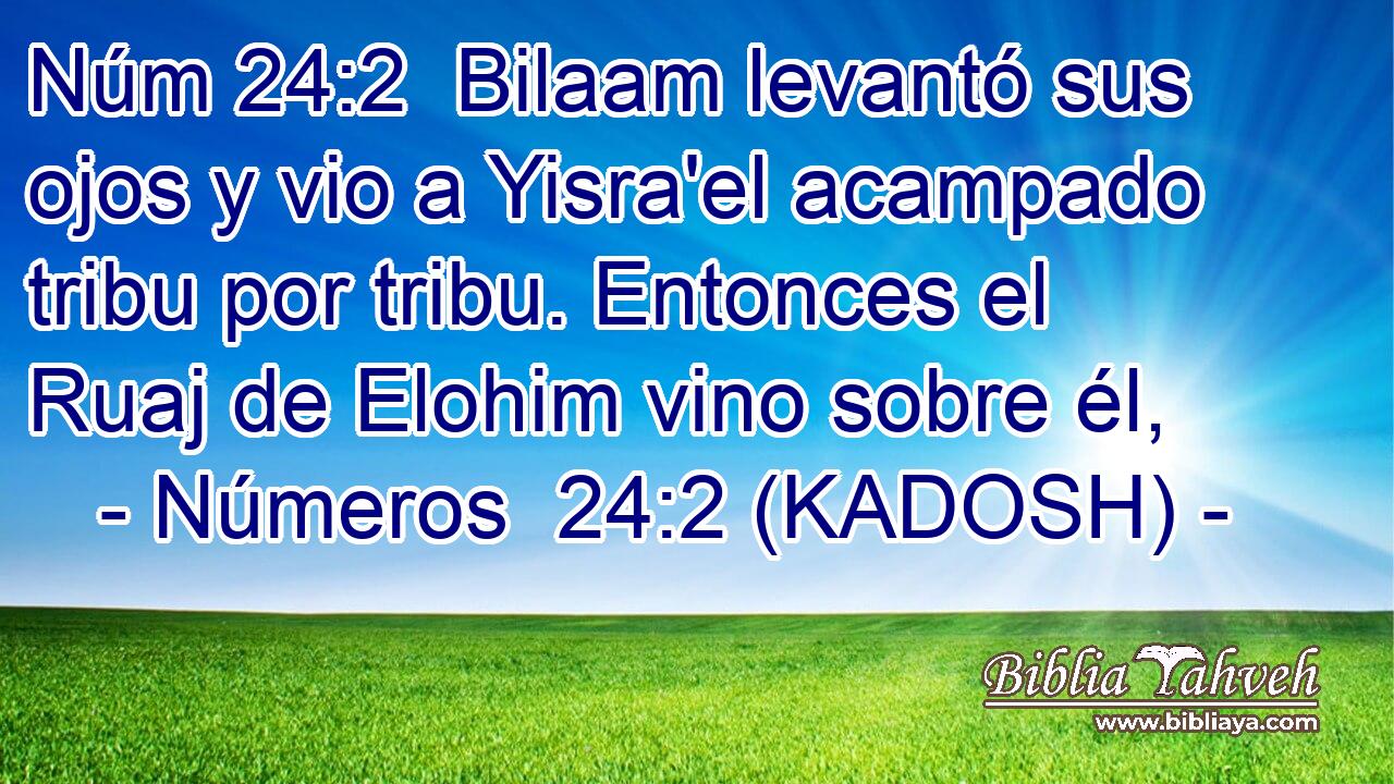  Bilaam levantó sus ojos y vio a Yisra'el acampado tribu por tribu. Entonces el Ruaj de Elohim vino sobre él, 
