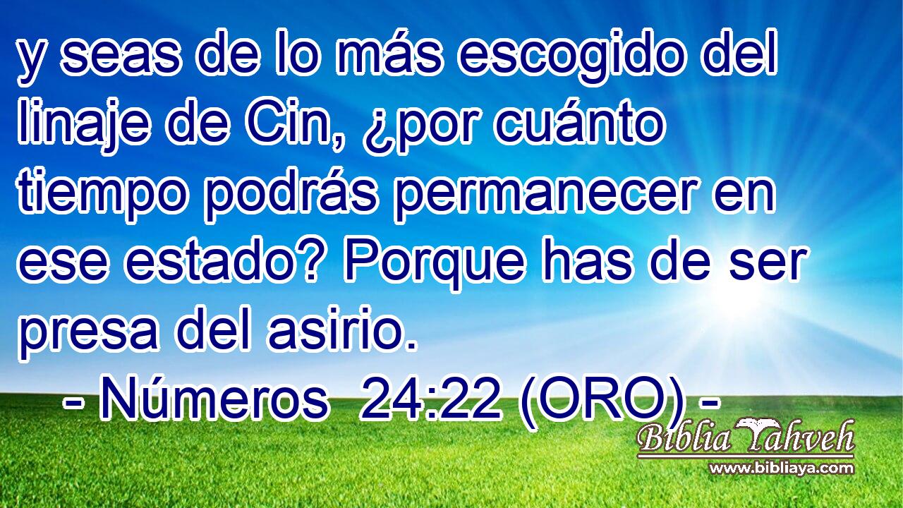  y seas de lo más escogido del linaje de Cin, ¿por cuánto tiempo podrás permanecer en ese estado? Porque has de ser presa del asirio. 