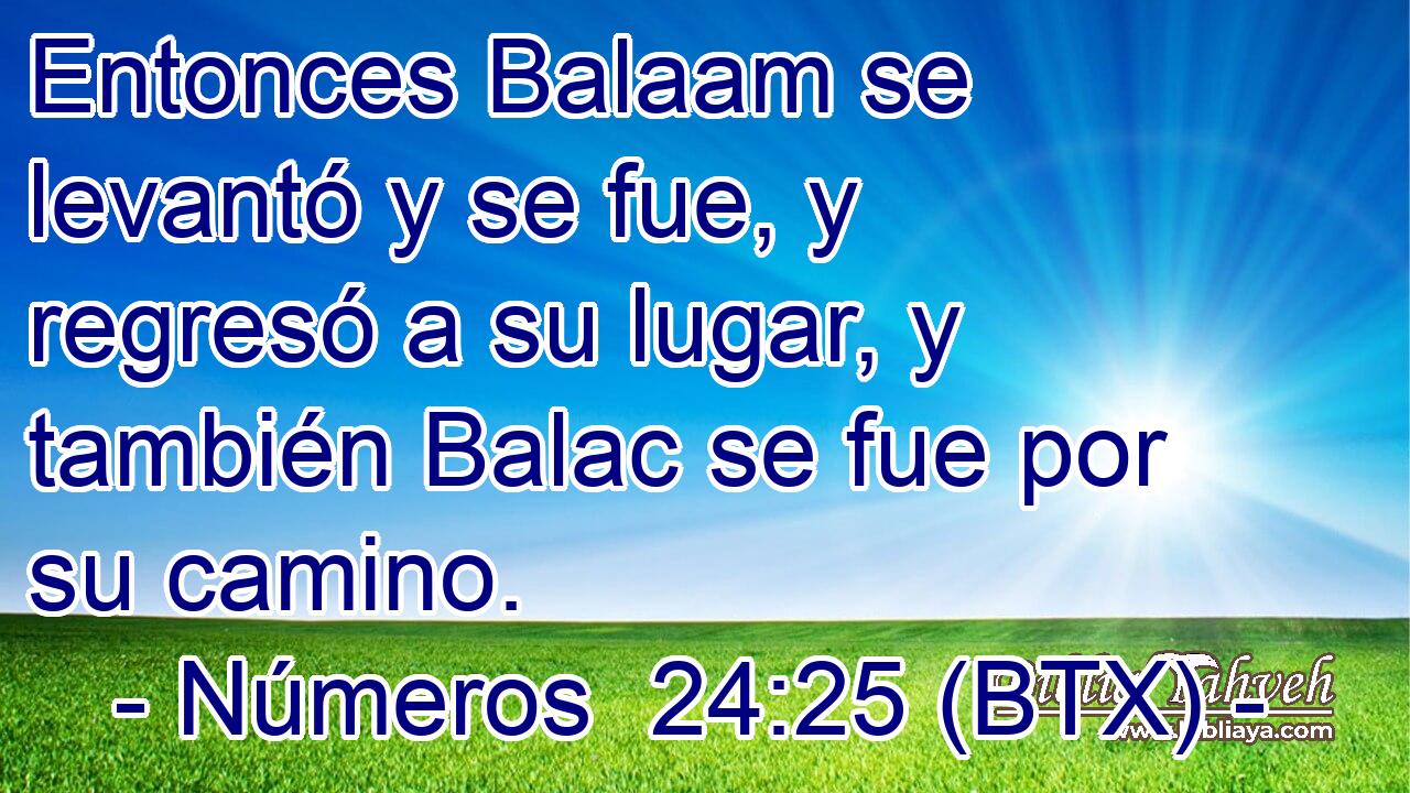 Entonces Balaam se levantó y se fue, y regresó a su lugar, y también Balac se fue por su camino.