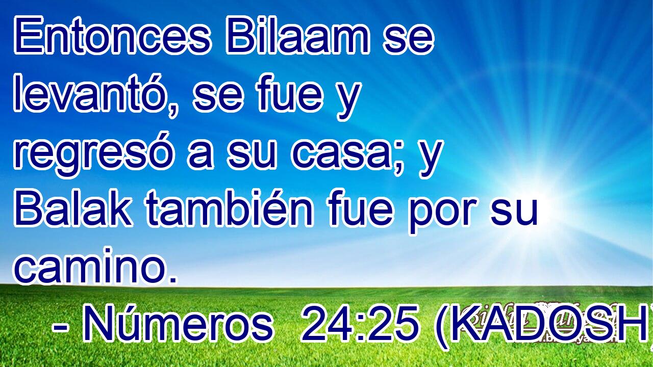  Entonces Bilaam se levantó, se fue y regresó a su casa; y Balak también fue por su camino. 