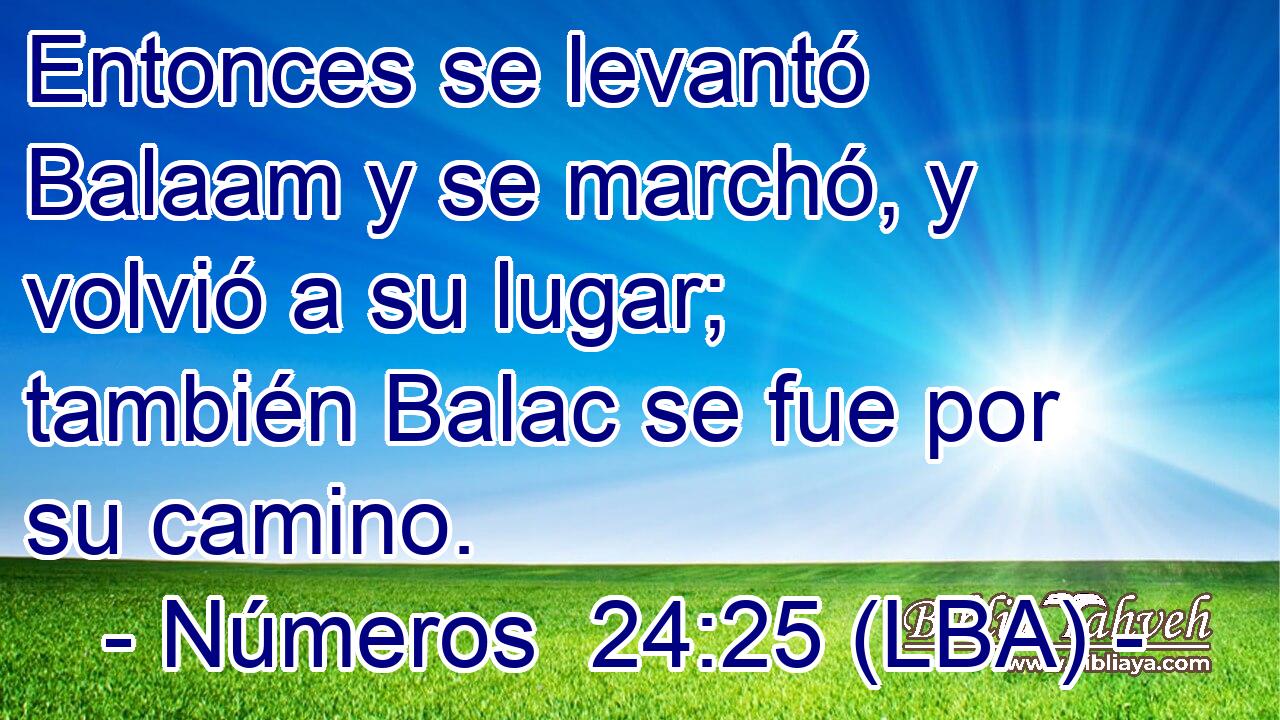 Entonces se levantó Balaam y se marchó, y volvió a su lugar; también Balac se fue por su camino.
